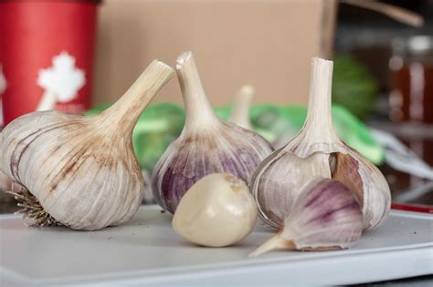 garlic deutsch|GARLIC 